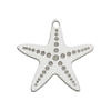 Estrella de mar