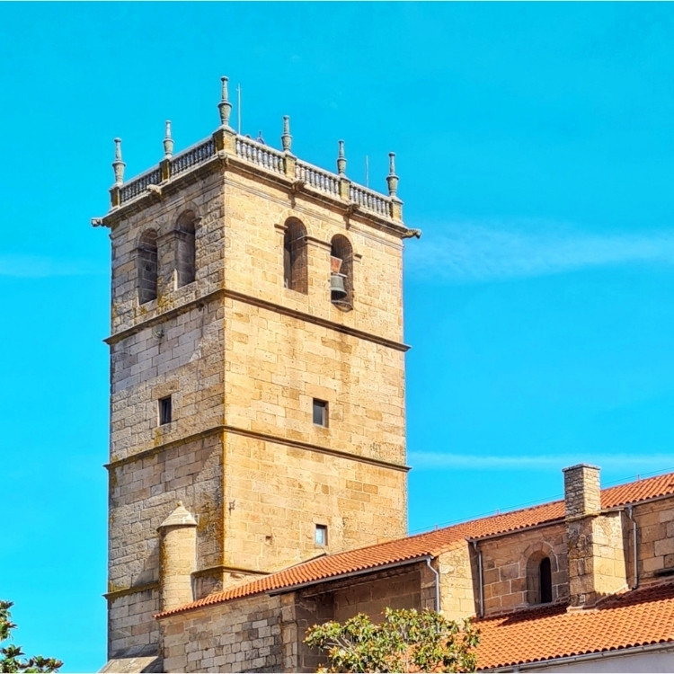 Pulsera de Vitigudino - Imagen 9